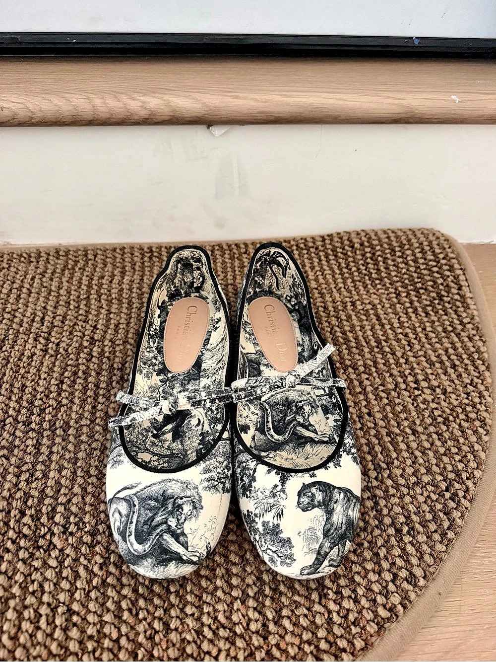 Christian Dior Toile de Jouy Zodiac Ballet Flats